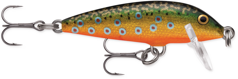 Rapala CountDown® CD05 Brook Trout