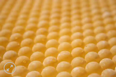 Great Lakes Steelhead Co. Trick Em Beads 8mm Ontari-Roe Scrambled