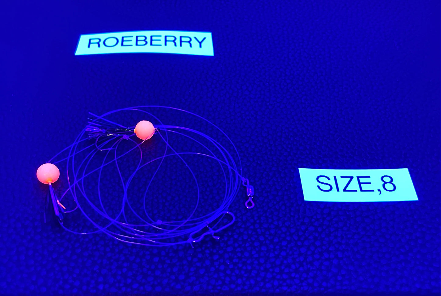 TTC Rig-ROEBERRY SZ8
