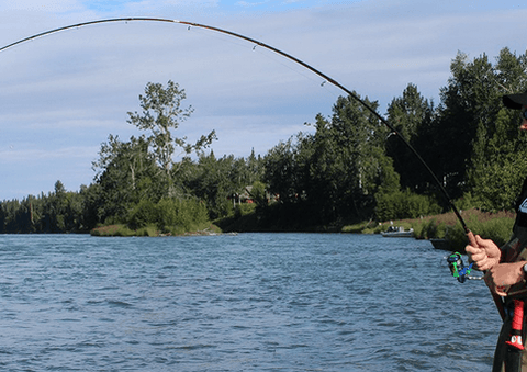 Salmon/Steelhead Spin Rods