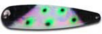 XL Warrior Elite Standard Spoons