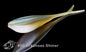 Lunker City Fin-S Shad 3.25" 8pk