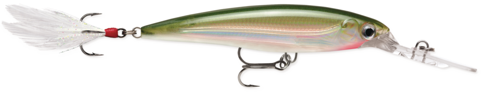 Rapala X-Rap® Deep Perch