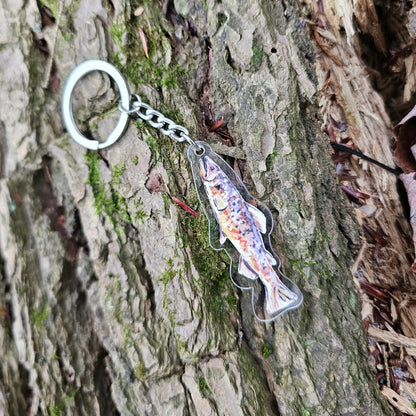 Brown Trout Acrylic Keychain