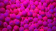 Bloop Bead 8MM