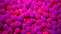 Bloop Bead 12MM