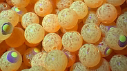 Bloop Bead 12MM