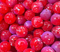 Bloop Bead 8MM
