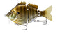 Fish Lab Pro Bio Gill Wake Bait 4"
