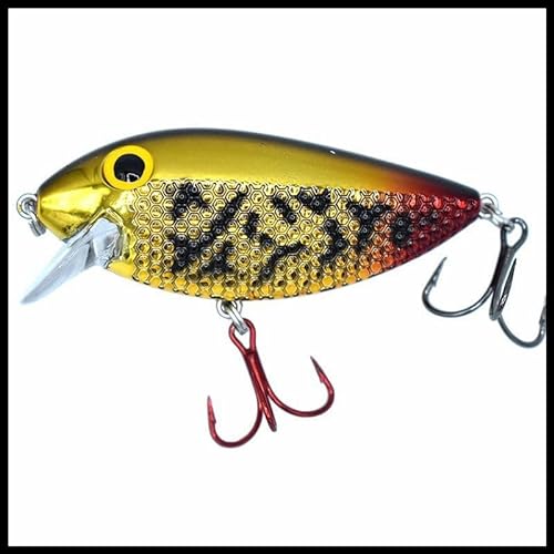 Ice Strong Killer Fish Rattling Shallow 2.75" 2/5OZ