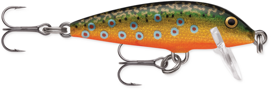 Rapala CountDown® CD05 Brook Trout