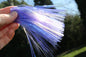 Purple Taco 4"