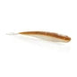 Berkley Lab Series™ Minnow 5.25"  6CT