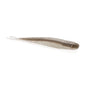 Berkley Lab Series™ Minnow 5.25"  6CT