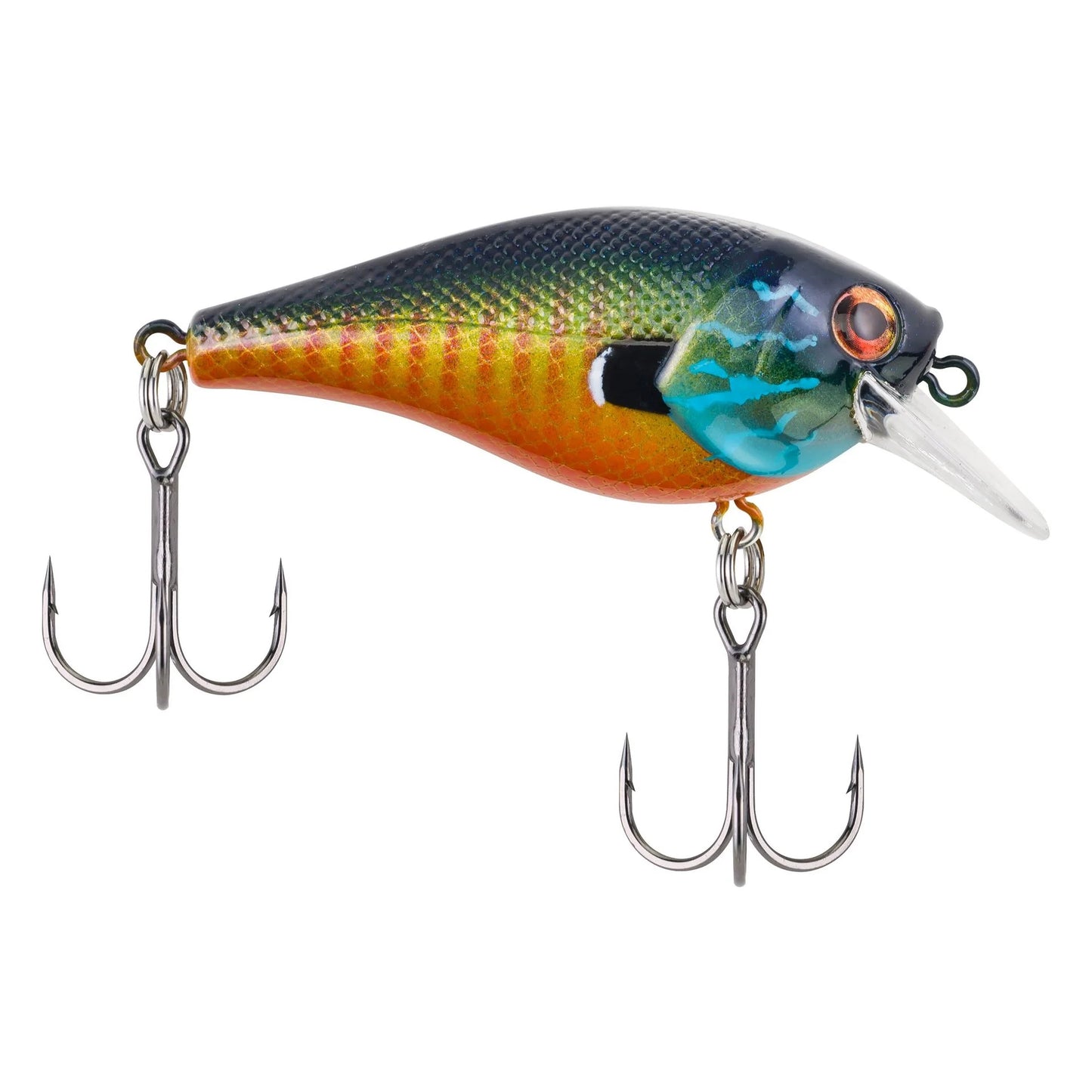 Berkley Square Bull 5.5