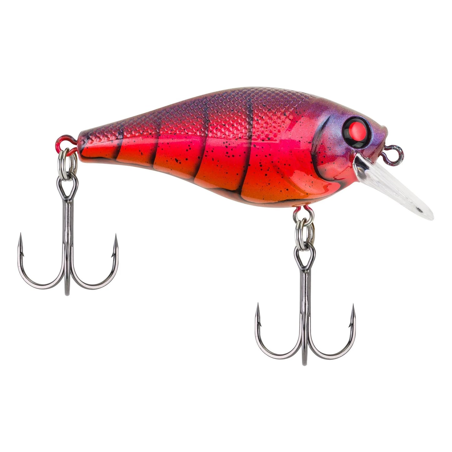 Berkley Square Bull 5.5