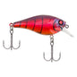 Berkley Square Bull 5.5