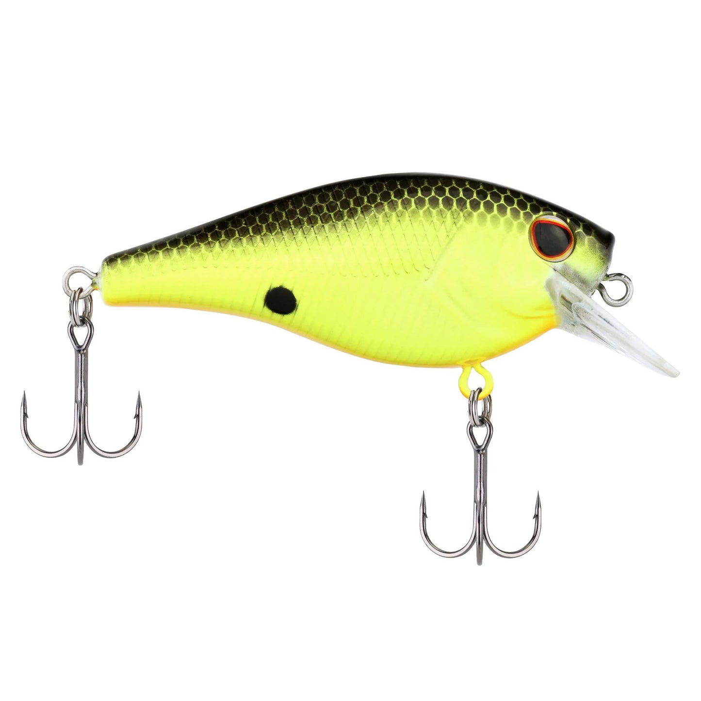 Berkley Square Bull 5.5