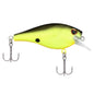 Berkley Square Bull 5.5