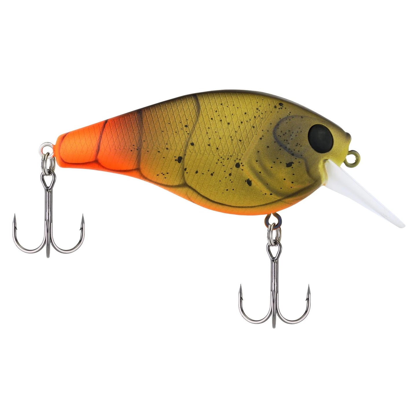 Berkley Square Bull 5.5