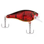 Berkley Square Bull 5.5