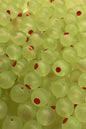 Bloop Bead 8MM