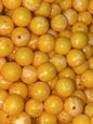Bloop Bead 10MM