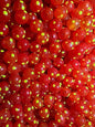 Bloop Bead 10MM