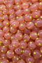 Bloop Bead 10MM