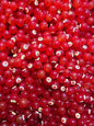 Bloop Bead 8MM
