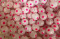 Bloop Bead 10MM