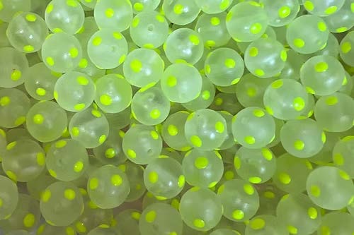 Bloop Bead 12MM
