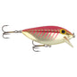 Brad's Thin Fish 1/2OZ