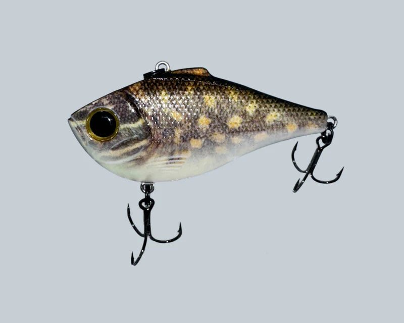 Gator Bait Rip-N-Shad