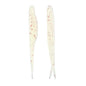 Quiet Cove Mad Shadder 3 1/2" 10CT