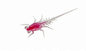 13 Fishing Bernie 6 pk