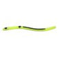 Striper - Kelly's Bass Worms