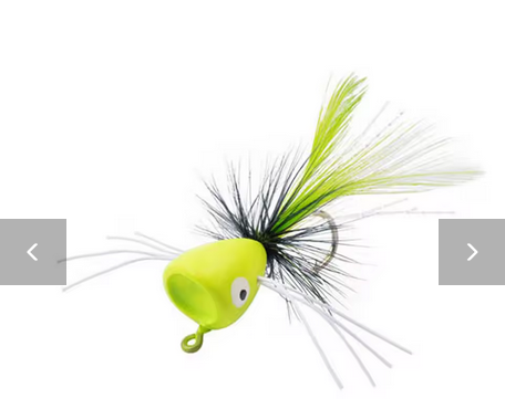 Poppers Top Water Bait