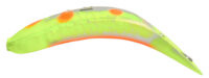 Yakima Flatfish M2
