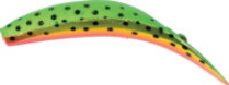 Yakima Flatfish M2