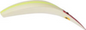 Yakima Flatfish M2