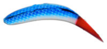 Yakima Flatfish M2