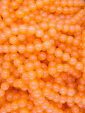 Nova Tackle - Salmon & Steelhead Soft Beads