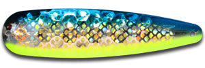 Warrior Lures ST041 HOLO Blue Dolphin Gold