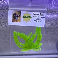 Boxer Baits Worm