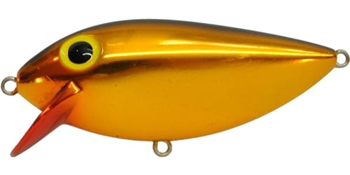 Brad's Thin Fish 1/2OZ