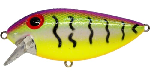 Brad's Thin Fish 1/2OZ