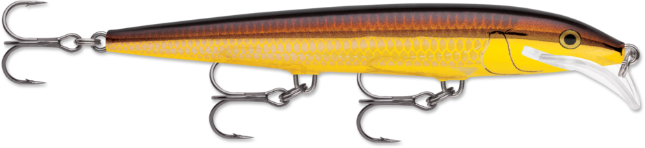 Rapala Scatter Rap® Minnow Golden Alburnus