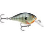 DT® (Dives-To) Series Bluegill