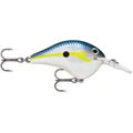 DT® (Dives-To) Helsinki Shad